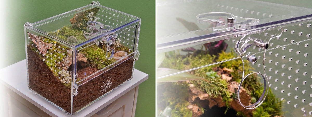 Terrarien für bodenbewohnende Vogelspinnen