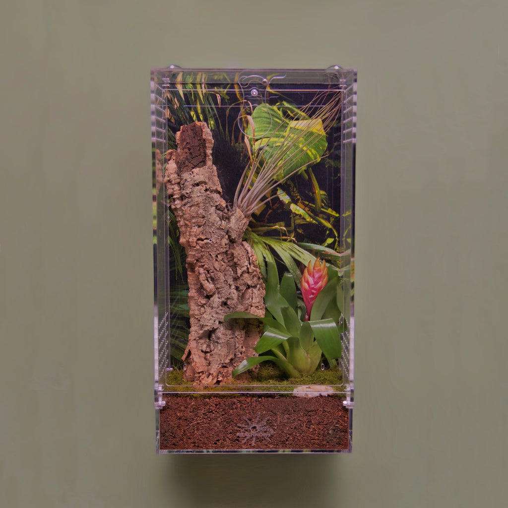 ARBOREA-WALL