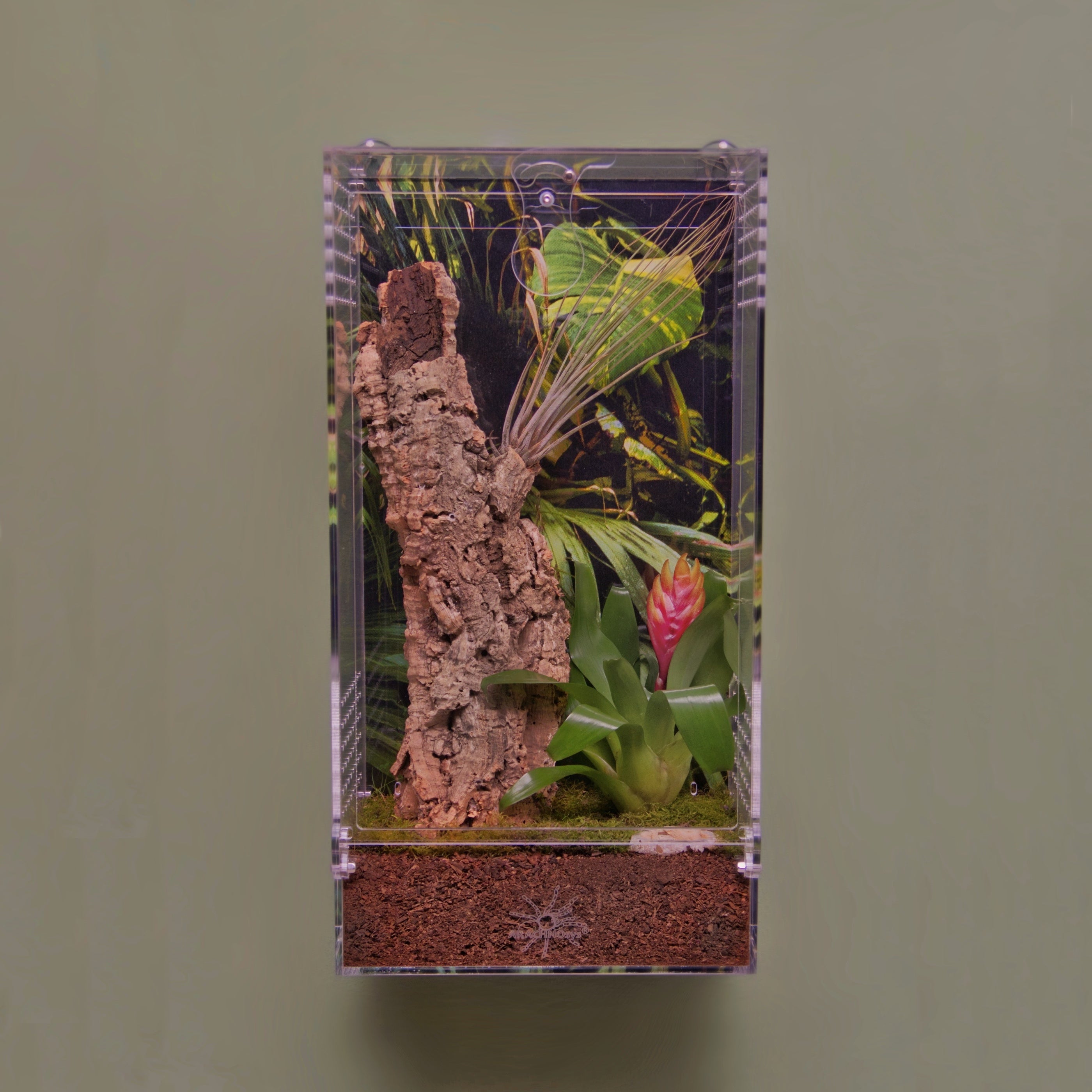 ARBOREA-WALL