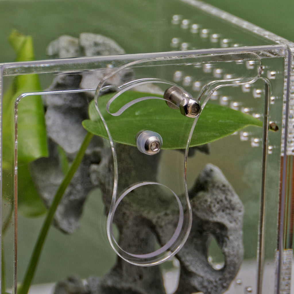 ARACHNOsys ARBOREA