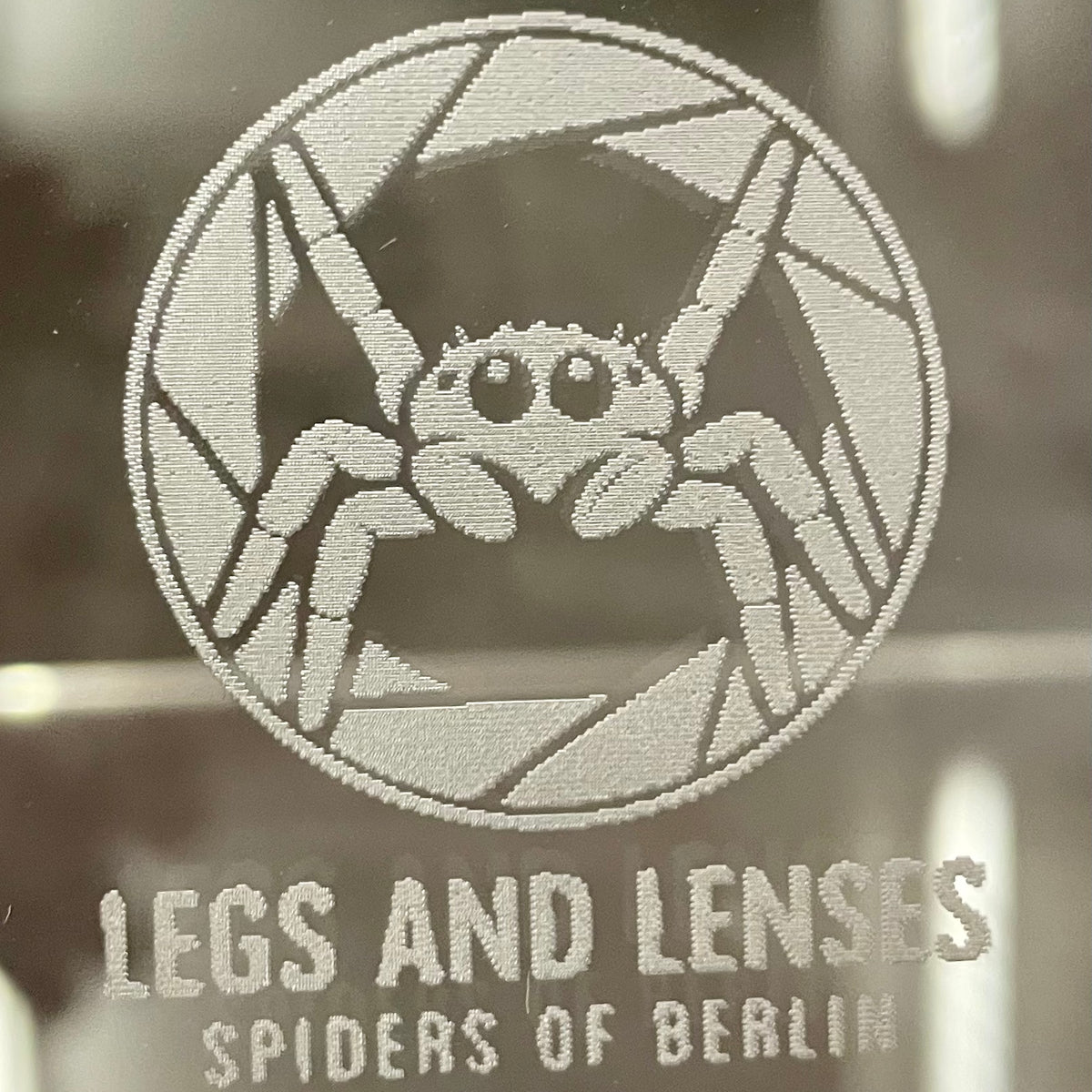 Legs and Lenses Terrarium