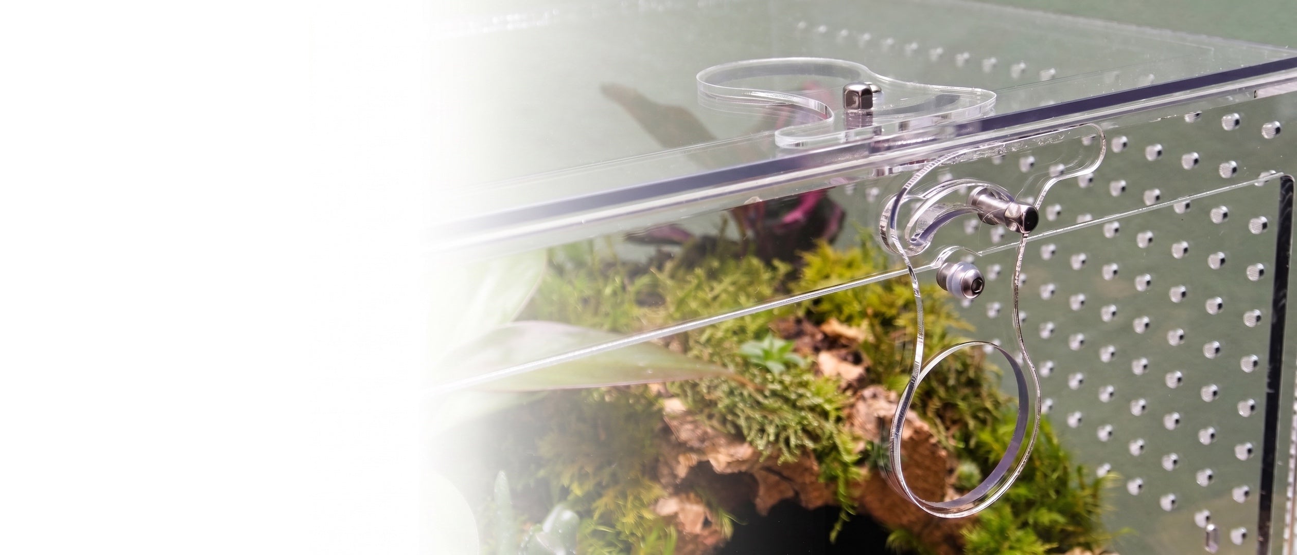 ARACHNOsys Terrarien-Verschluss