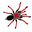 ARACHNOsys logo