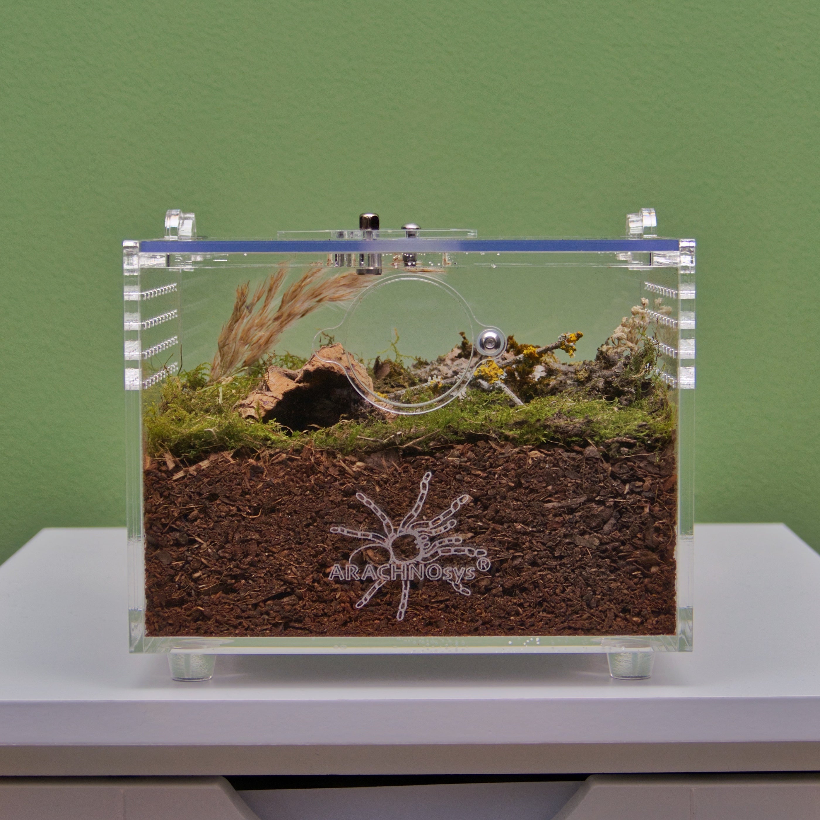 ARACHNOsys TERRESTRIA