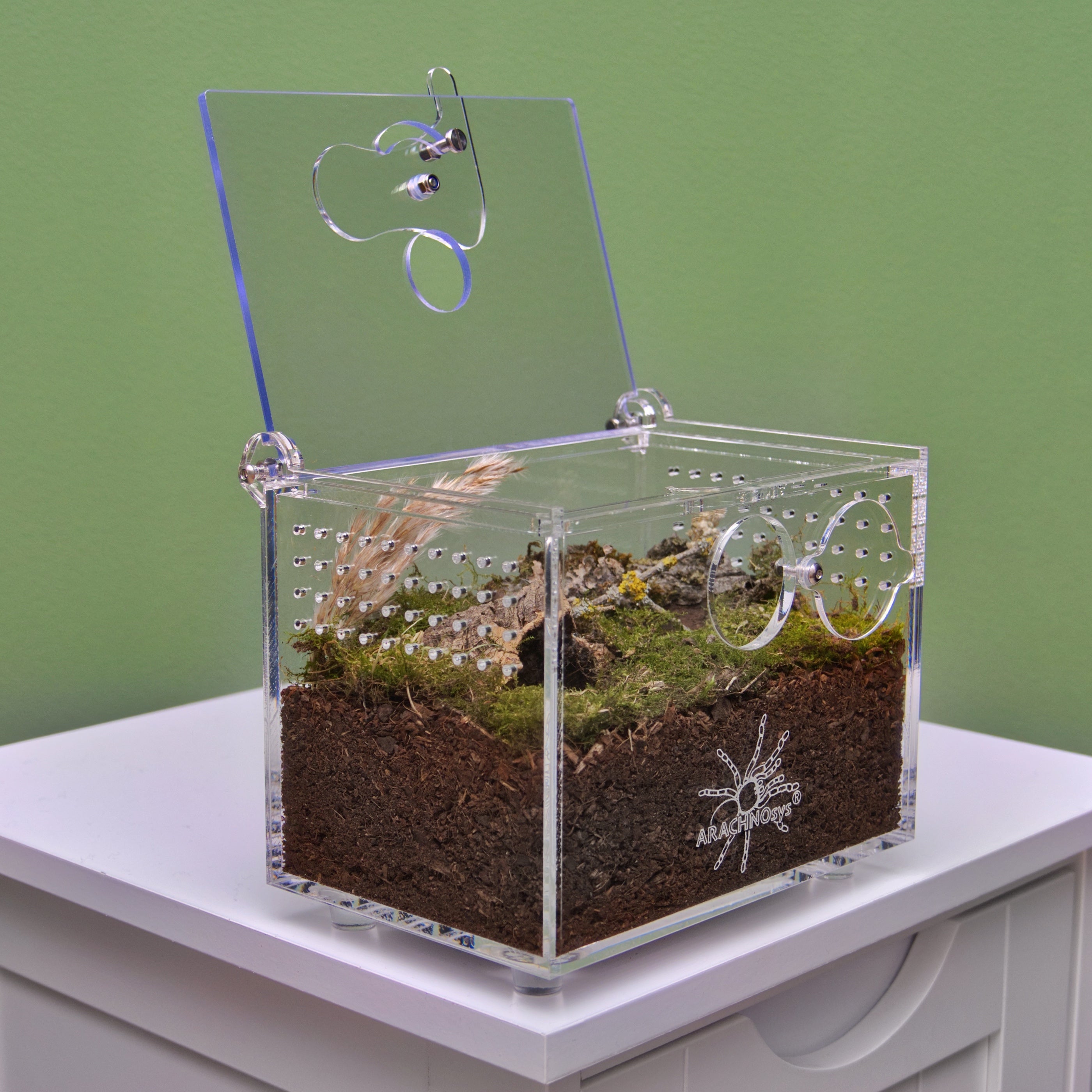 ARACHNOsys TERRESTRIA