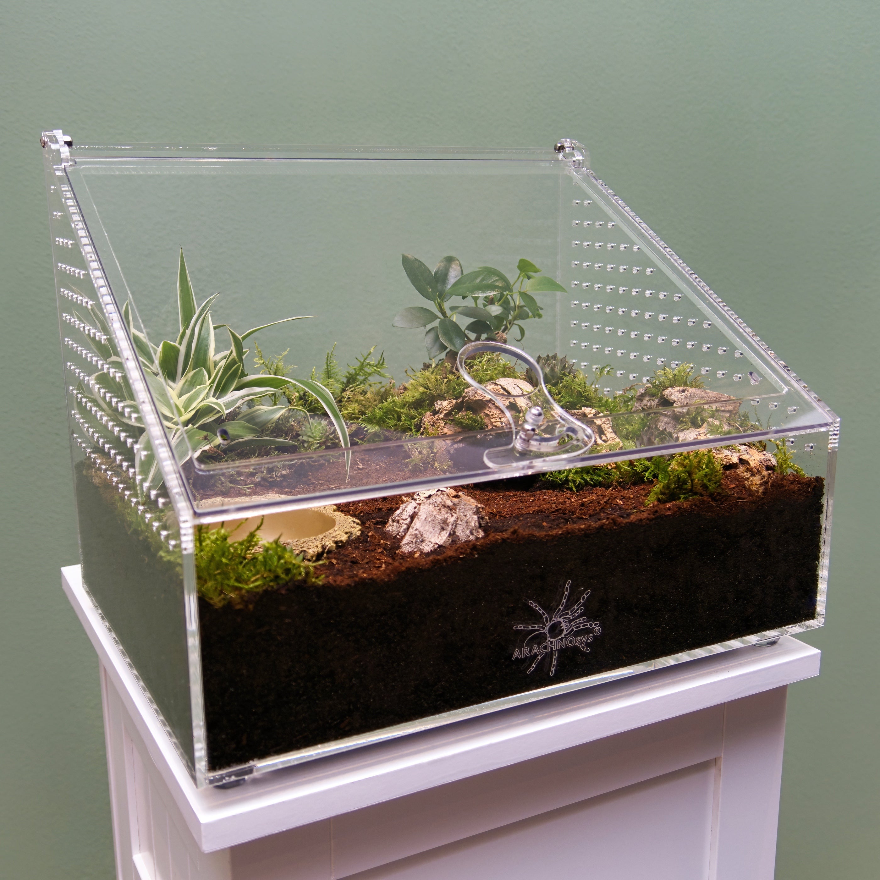 ARACHNOsys TERRESTRIA-SL