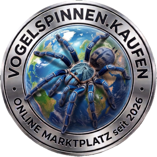 Vogelspinnen kaufen Online Marktplatz