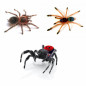 Preview: Slings und andere kleine Spinnen